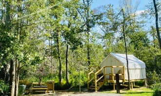 Tentrr State Park Site - Louisiana Tickfaw State Park - Woodland C - Single Camp