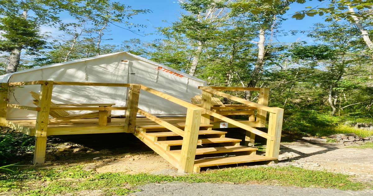 Tickfaw State Park - Woodland F - Single Camp