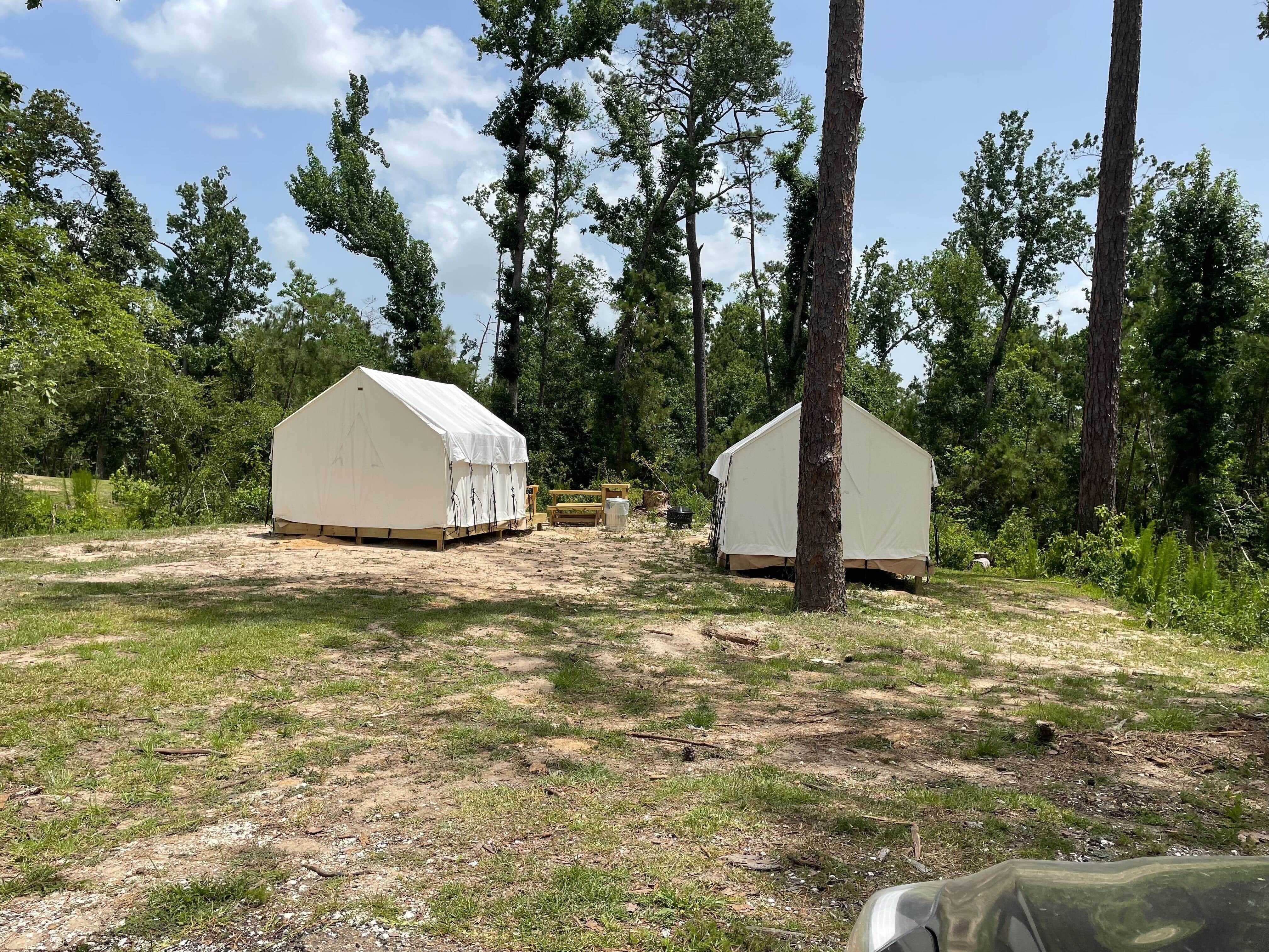 The Dyrt's photo at Tentrr State Park Site - Louisiana Sam Houston Jones State Park - Woodland J Double Camp near Jennings, LA