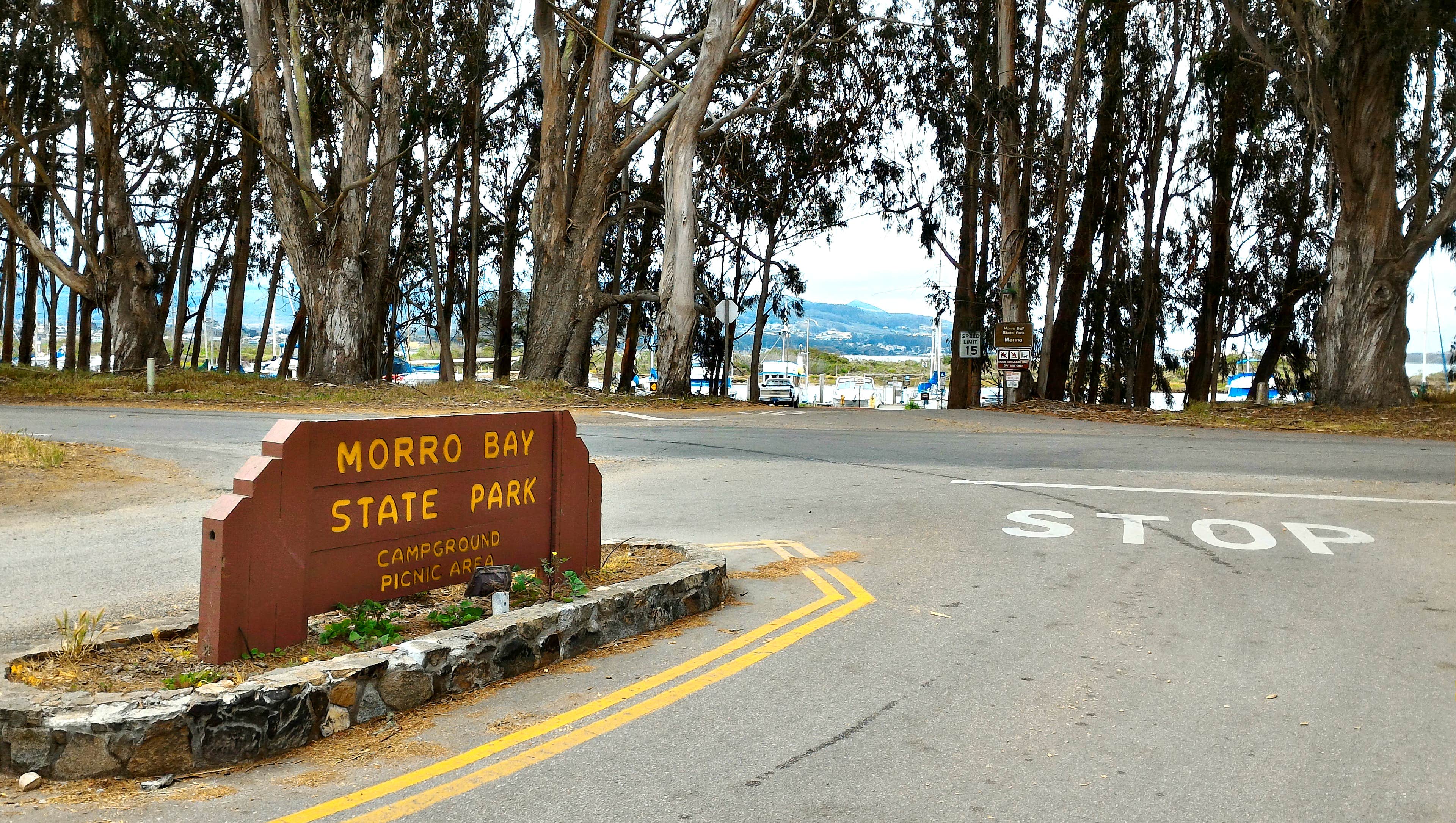 Camper-submitted photo at Morro Bay State Park Campground in California