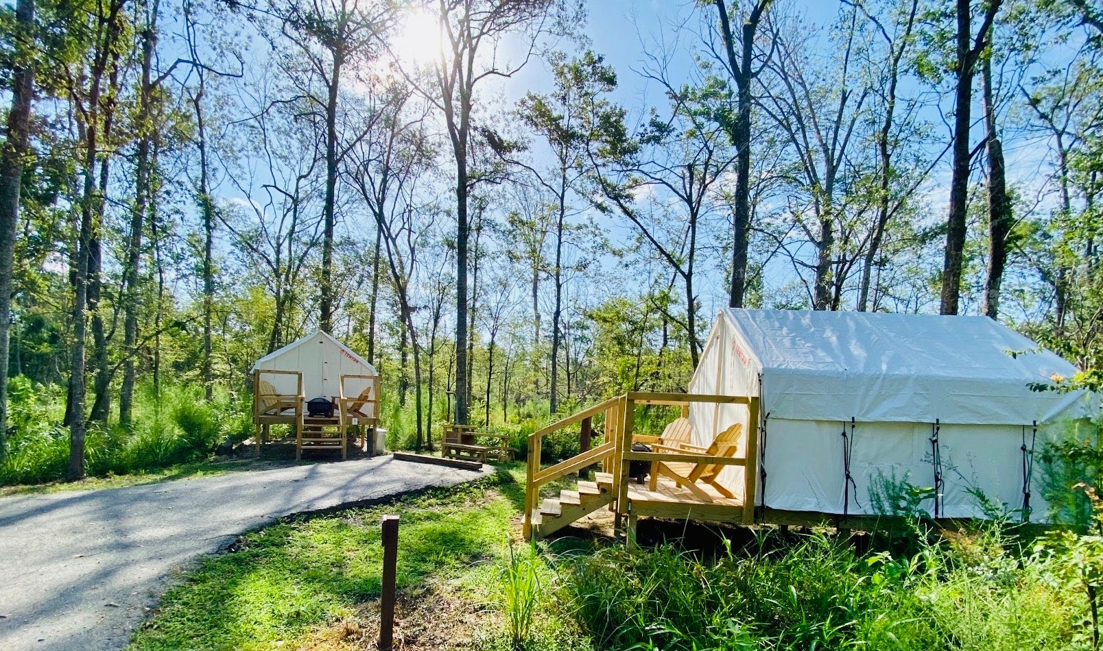 Camper submitted image from Tentrr State Park Site - Louisiana Tickfaw State Park - Woodland D - Double Camp - 1