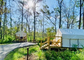 Tentrr State Park Site - Louisiana Tickfaw State Park - Woodland D - Double Camp