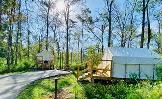 The Dyrt's photo at Tentrr State Park Site - Louisiana Tickfaw State Park - Woodland D - Double Camp near Pride, LA