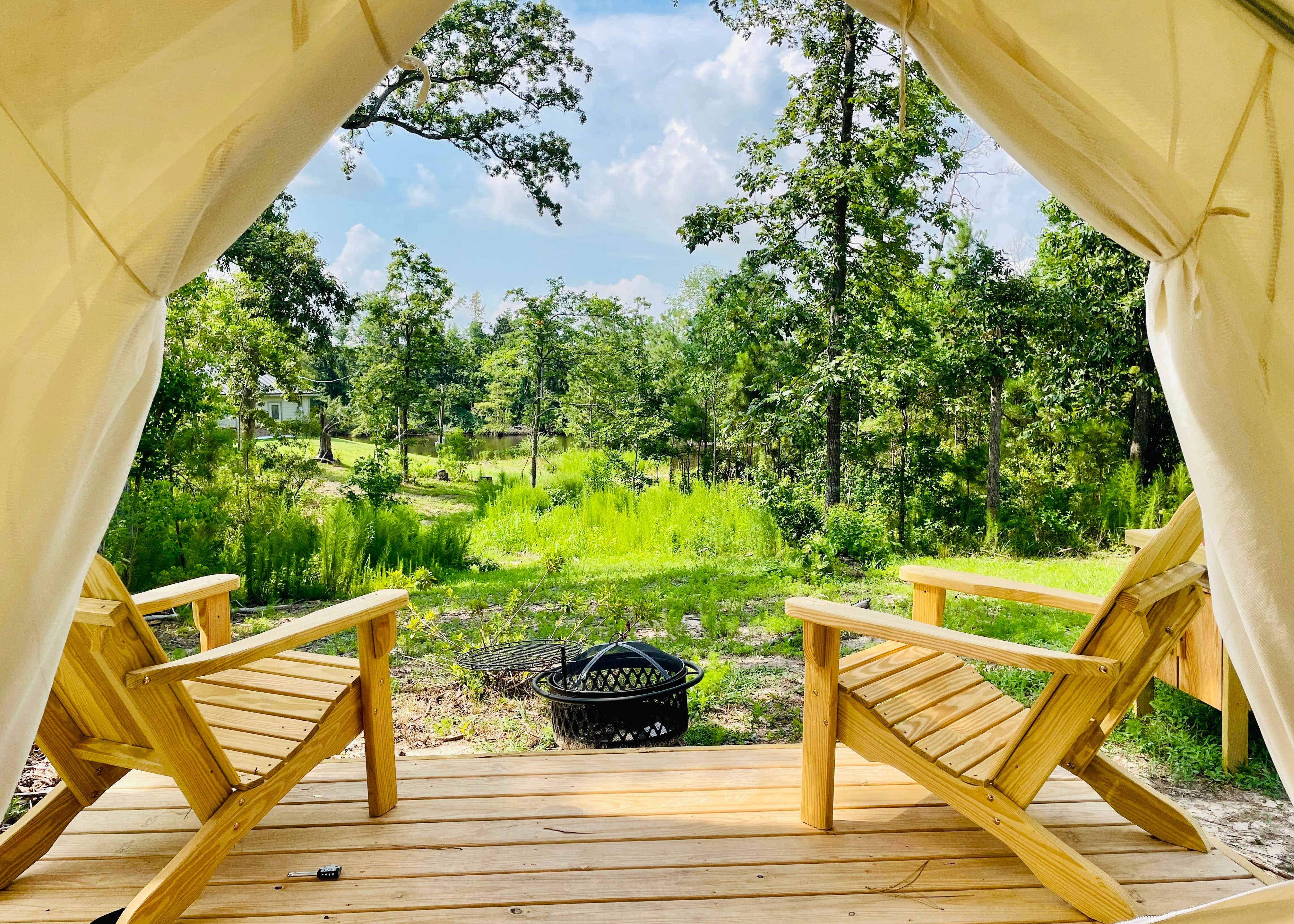 View All