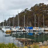 Review photo of Morro Bay State Park Campground by Tim J., September 10, 2018