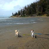 Review photo of Morro Bay State Park Campground by Tim J., September 10, 2018