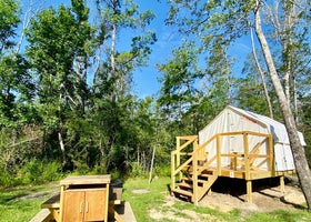 Tentrr State Park Site - Louisiana Tickfaw State Park - Woodland G - Single Camp