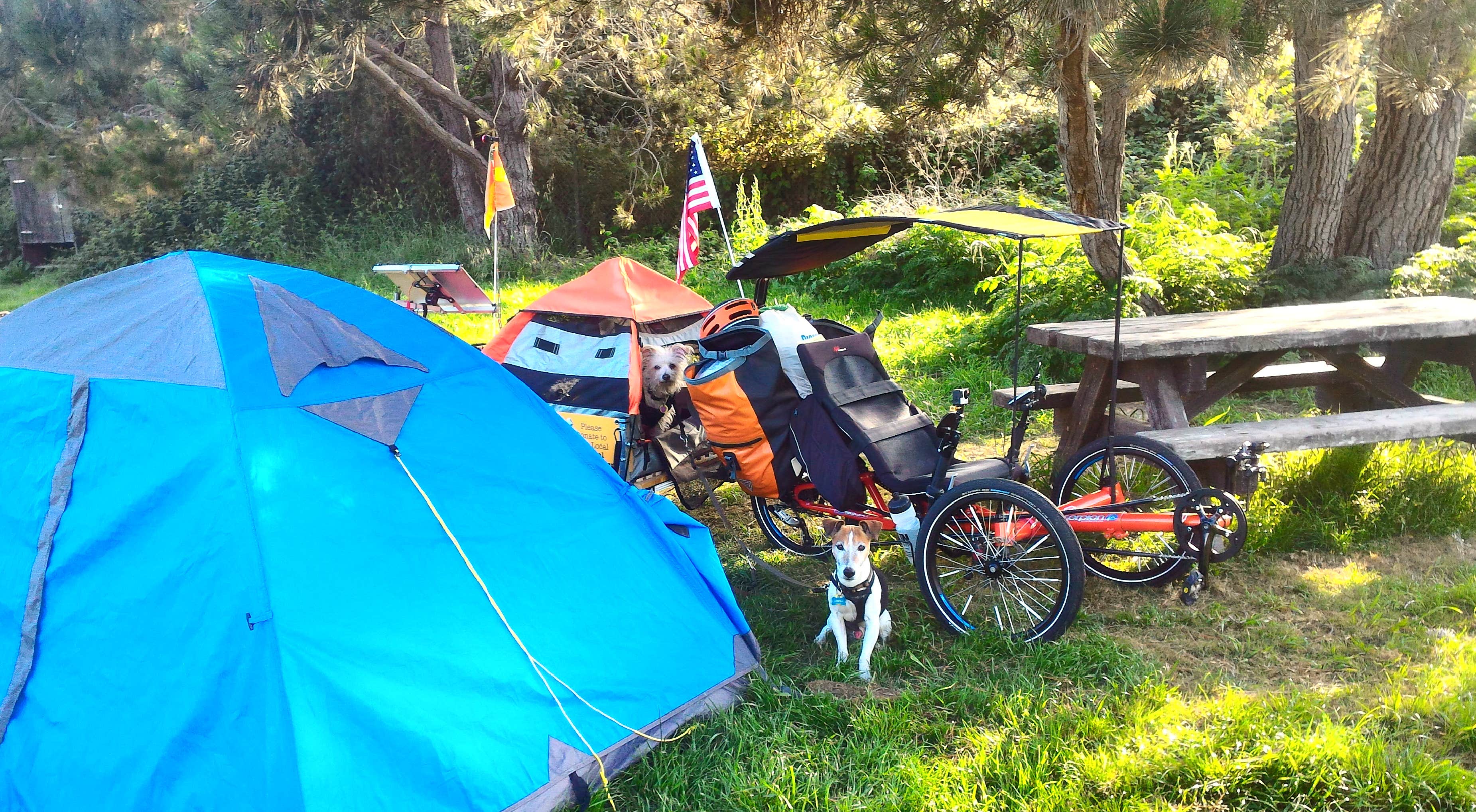 Tim J.'s photo at San Simeon Creek Campground — Hearst San Simeon State Park near San Simeon, CA