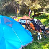 Review photo of San Simeon Creek Campground — Hearst San Simeon State Park by Tim J., September 10, 2018