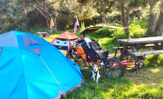 Tim J.'s photo at San Simeon Creek Campground — Hearst San Simeon State Park near Bradley, CA