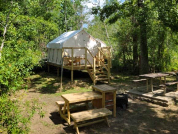The Dyrt's photo at Tentrr State Park Site - Louisiana Tickfaw State Park - Woodland H - Single Camp near Springfield, LA