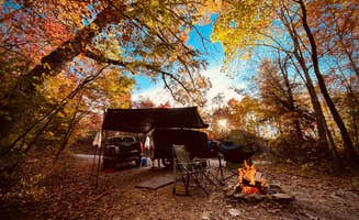 Corey M.'s photo at Old NC 105 - Dispersed Camping near Marion, NC