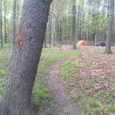 Review photo of Elk Neck State Park Campground by Katy R., September 10, 2018
