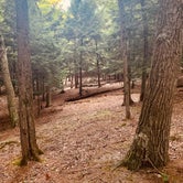 Review photo of Cedar Campground — Ludington State Park by Corey M., October 24, 2022