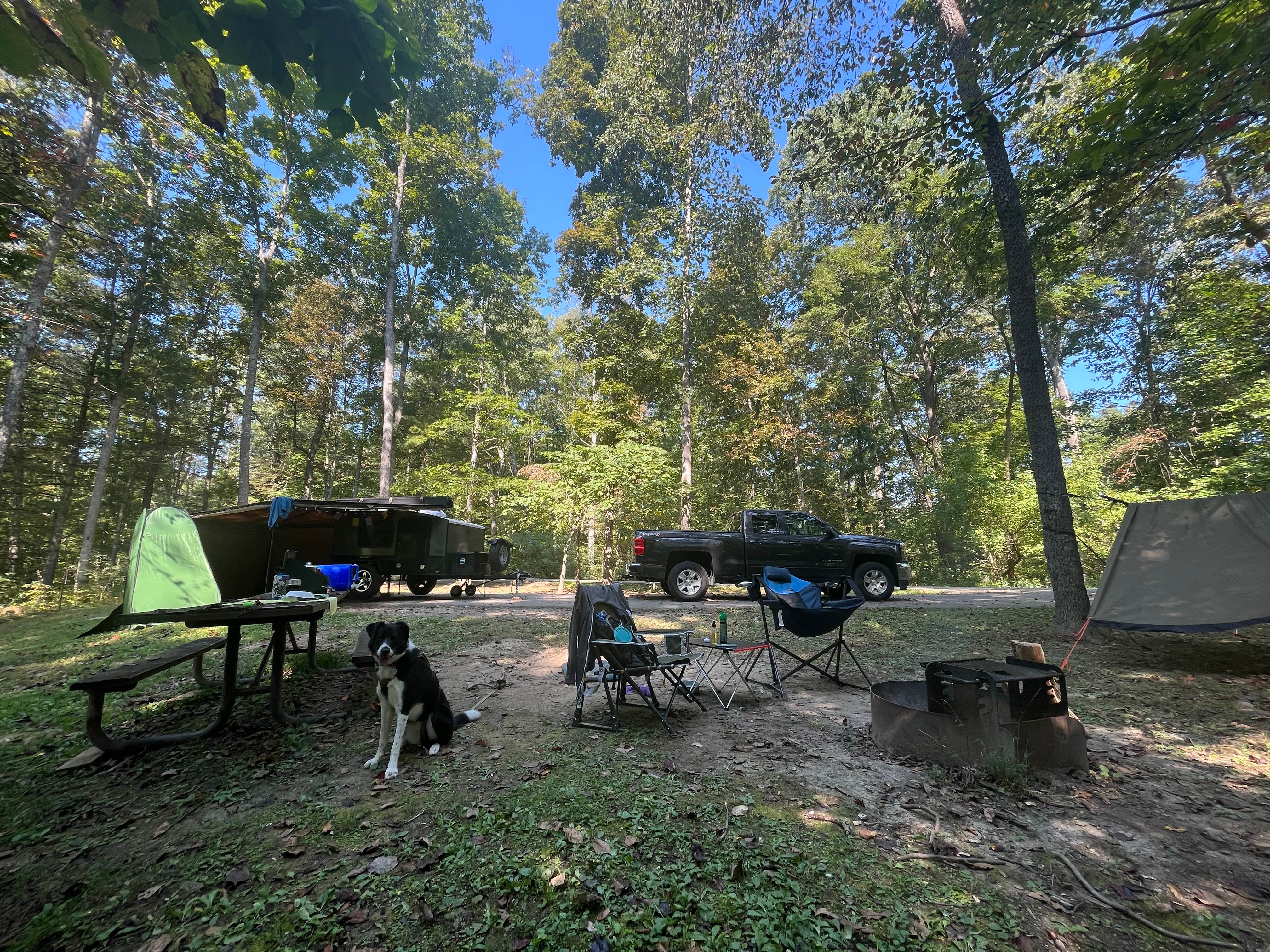 Corey M.'s photo of camping with pets at Iron Ridge - Lake Vesuvius near Louisa, KY