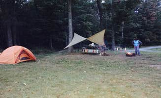 Katy R.'s photo at Cherry Springs State Park Campground near Austin, PA