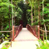 Review photo of Pfeiffer Big Sur State Park Campground by Tim J., September 10, 2018