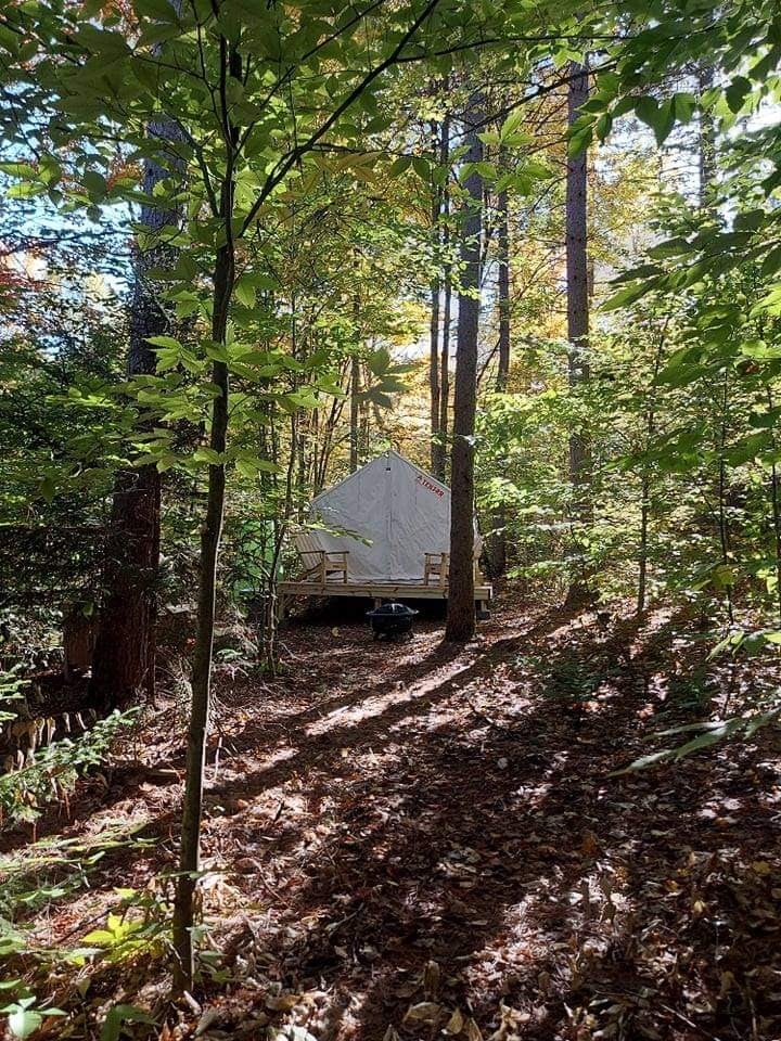 Camper submitted image from Tentrr Signature Site - Owl Avenue - 1