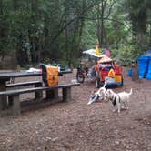 Review photo of Pfeiffer Big Sur State Park Campground by Tim J., September 10, 2018