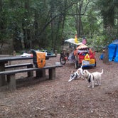 Review photo of Pfeiffer Big Sur State Park Campground by Tim J., September 10, 2018