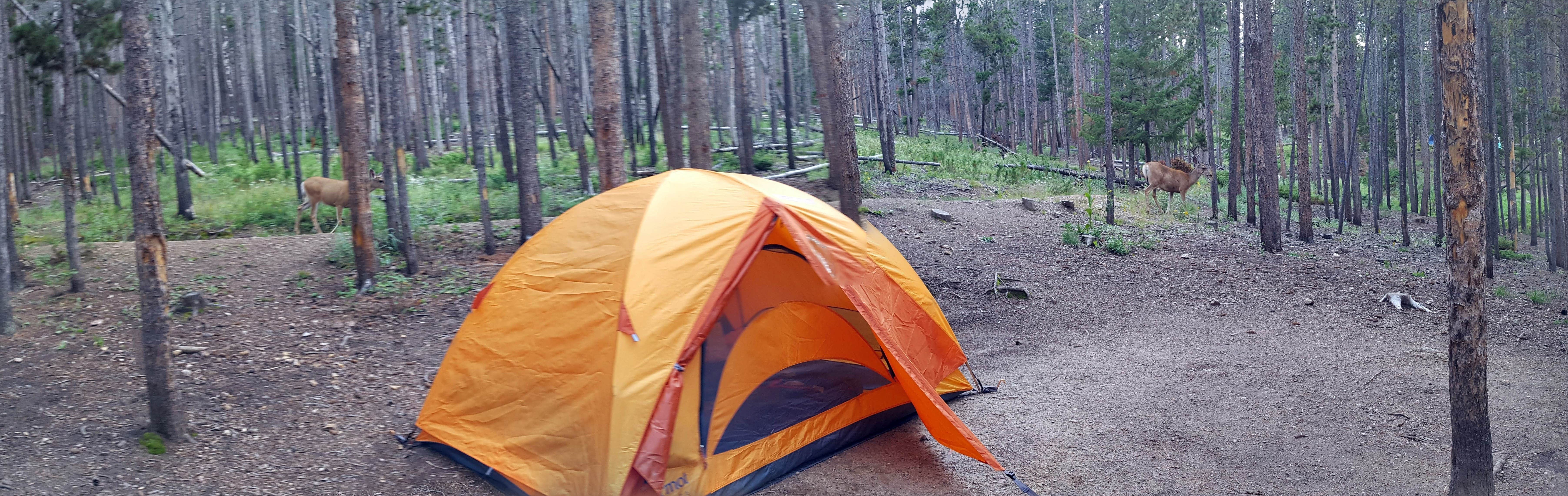 Camper-submitted photo at East Portal Campground at Estes Park near Glen Haven, CO
