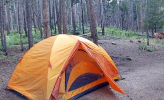 Katy R.'s photo at East Portal Campground at Estes Park near Estes Park, CO
