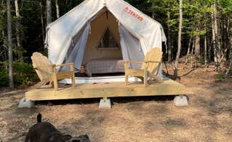 The Dyrt's photo of camping with pets at Tentrr Signature Site - Horseshoe River : Outlook near Casco, ME