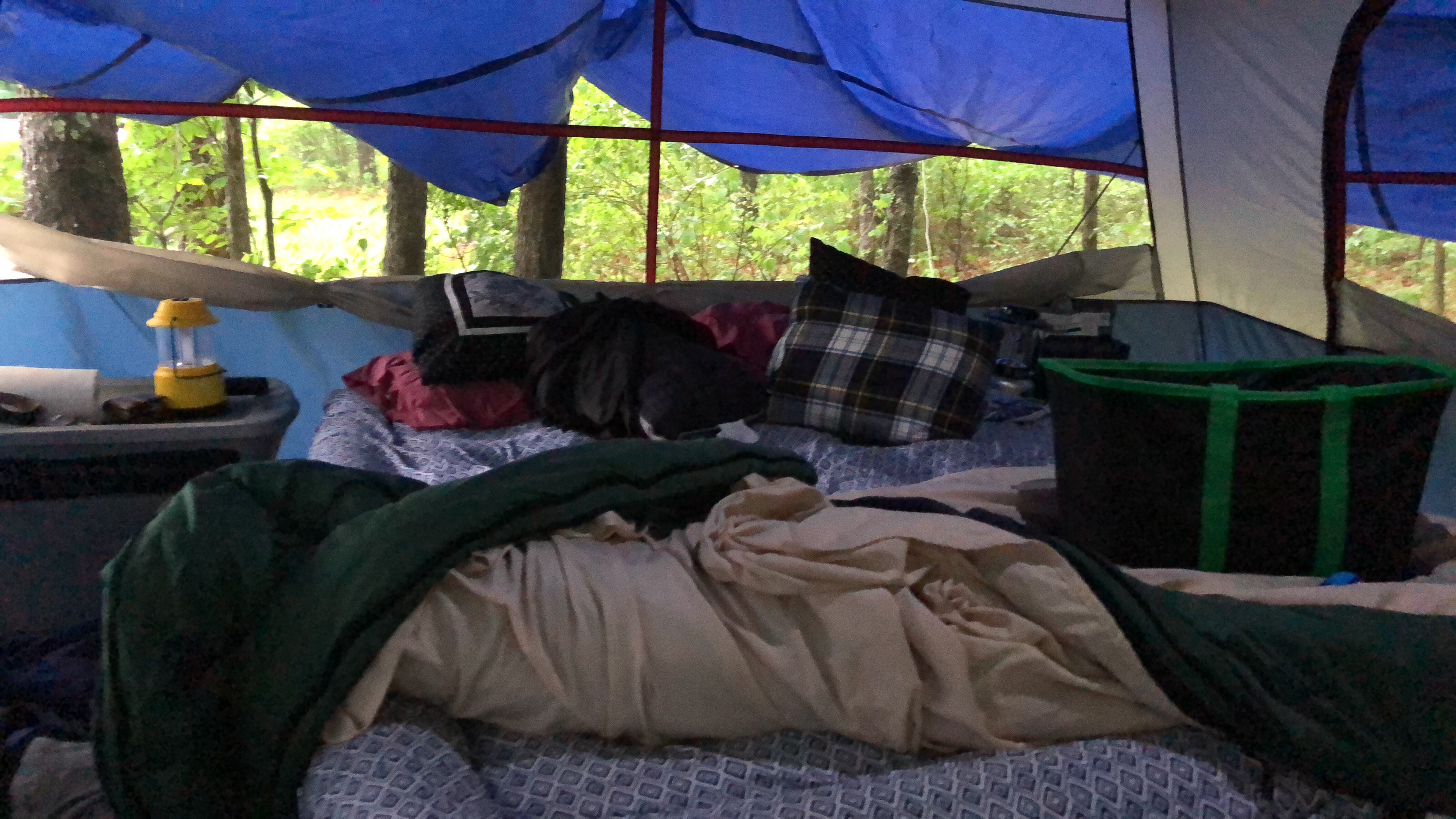 We used a family sized tent for just the two of us... 