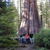Review photo of Nelder Grove Campground by Elliott B., August 8, 2016