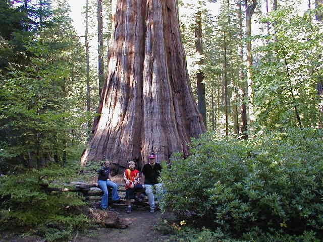 Camper submitted image from Nelder Grove Campground - 2