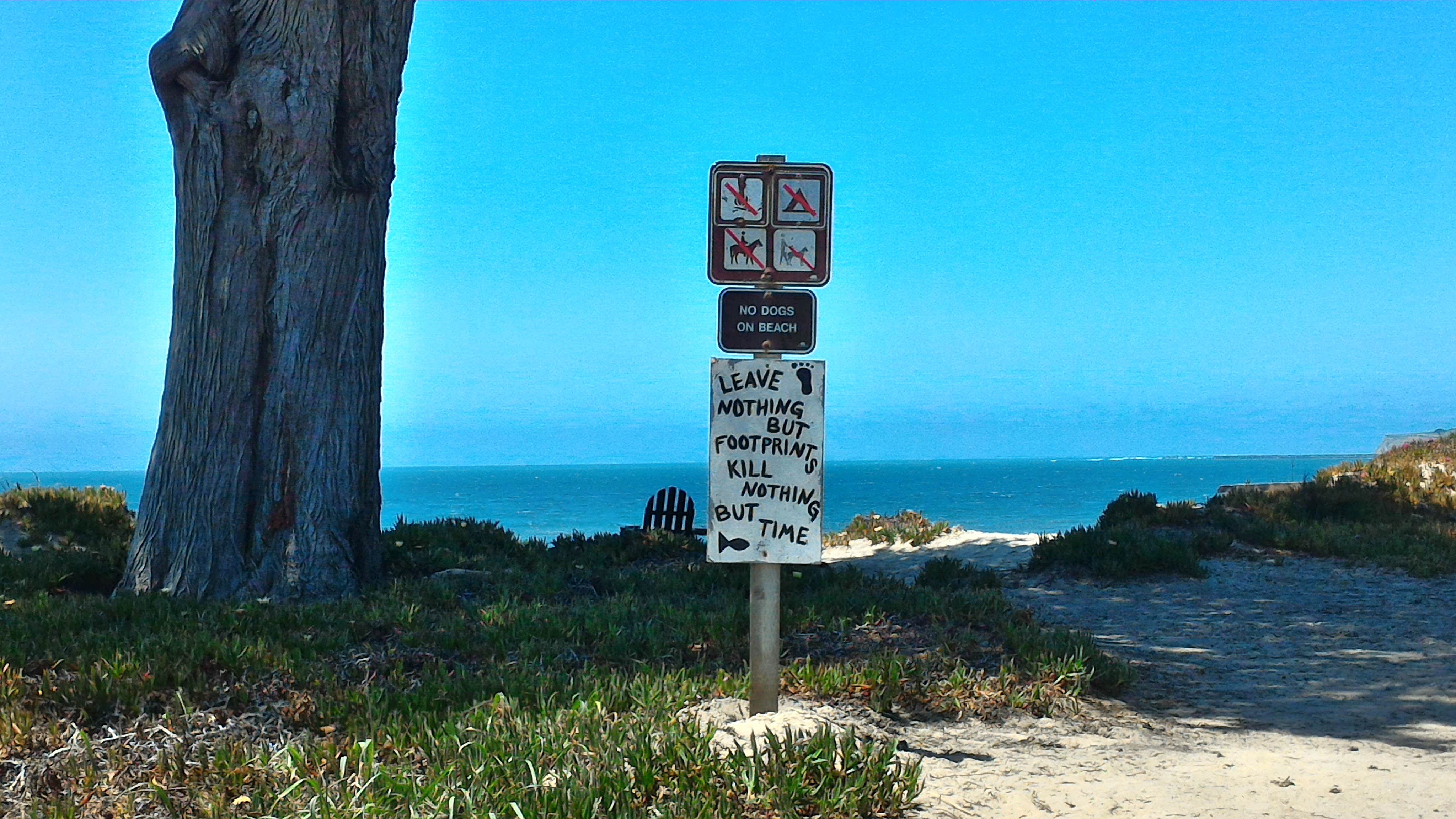 Camper submitted image from Half Moon Bay State Beach Campground - 4