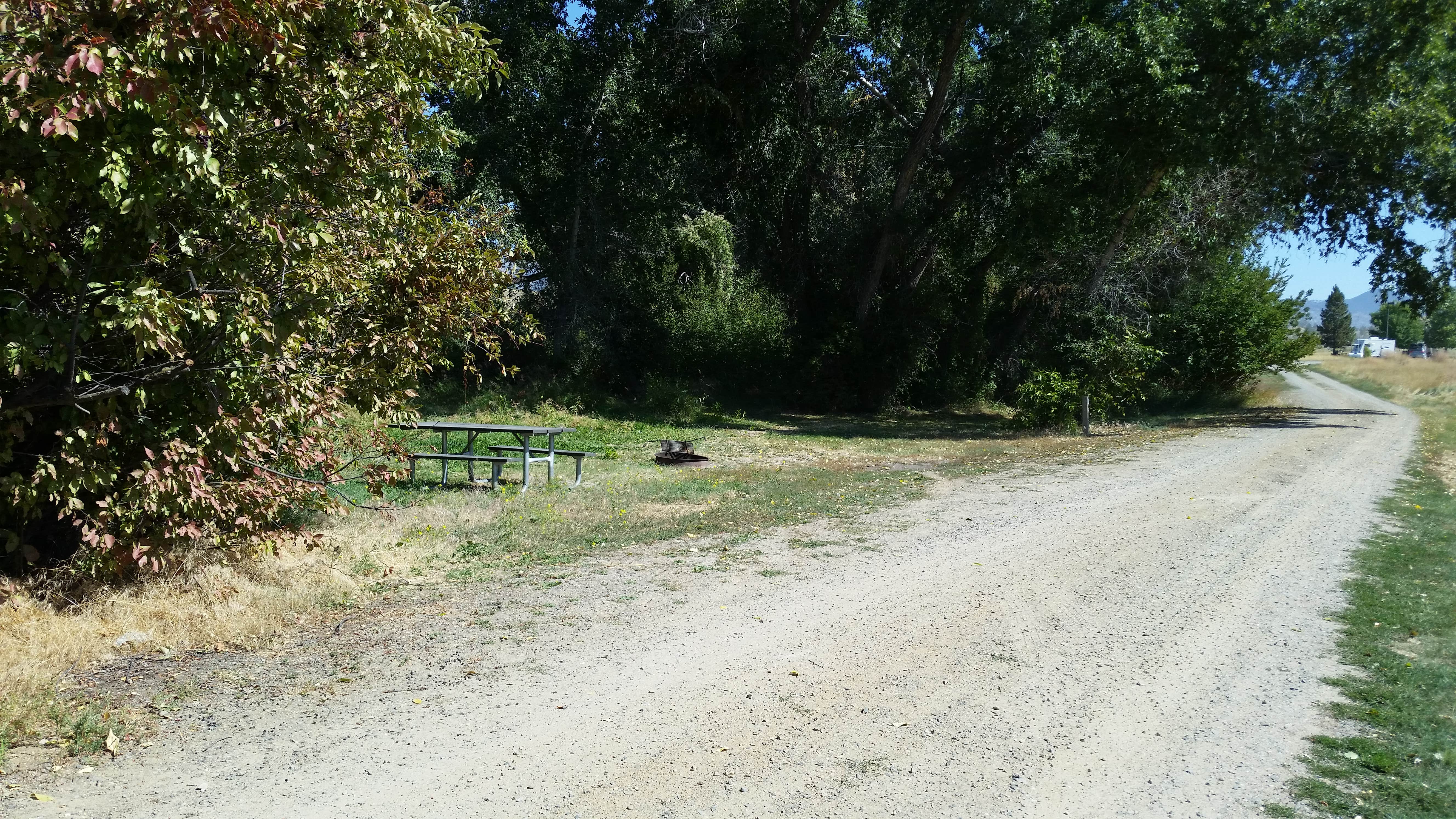 Camper submitted image from Hellgate Campground - 2