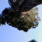 Review photo of Nelder Grove Campground by Elliott B., August 8, 2016