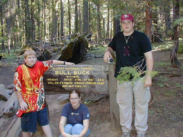 Camper submitted image from Nelder Grove Campground - 5