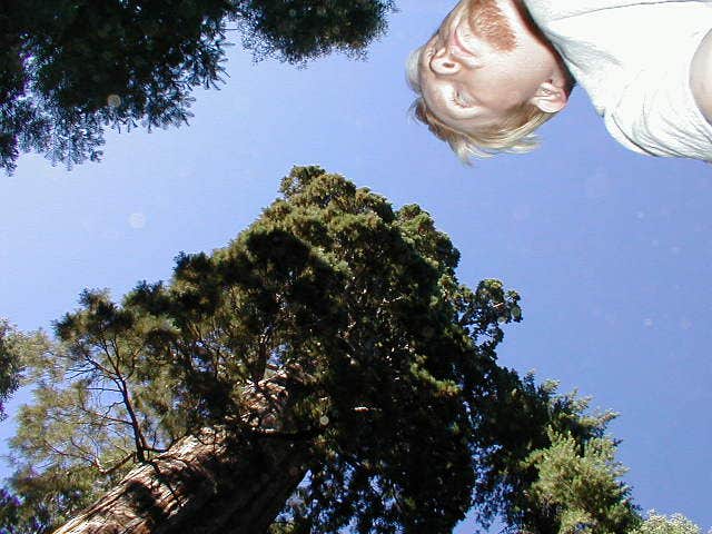 Camper submitted image from Nelder Grove Campground - 3