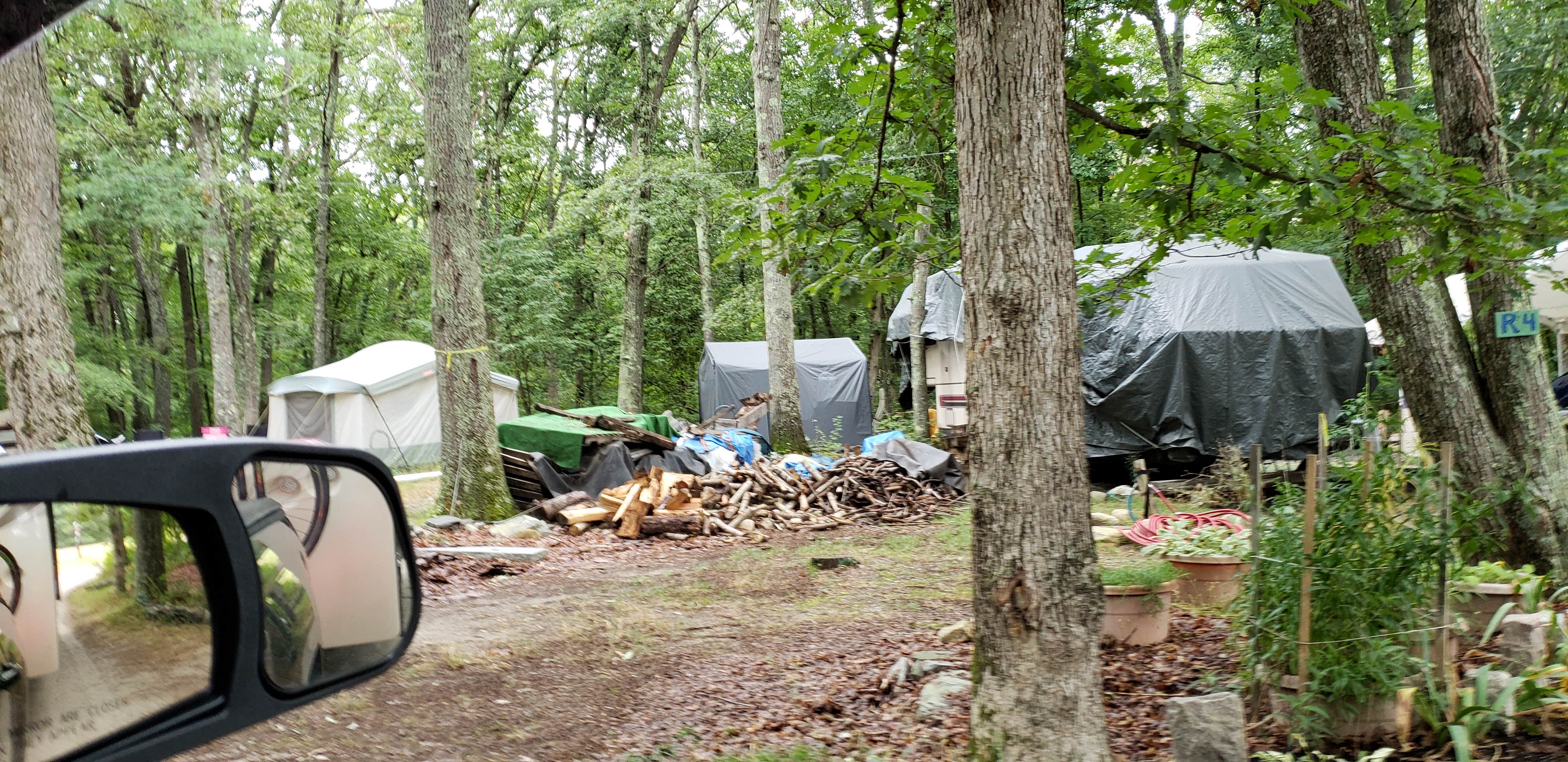 Camper submitted image from Echo Lake Campground - 1