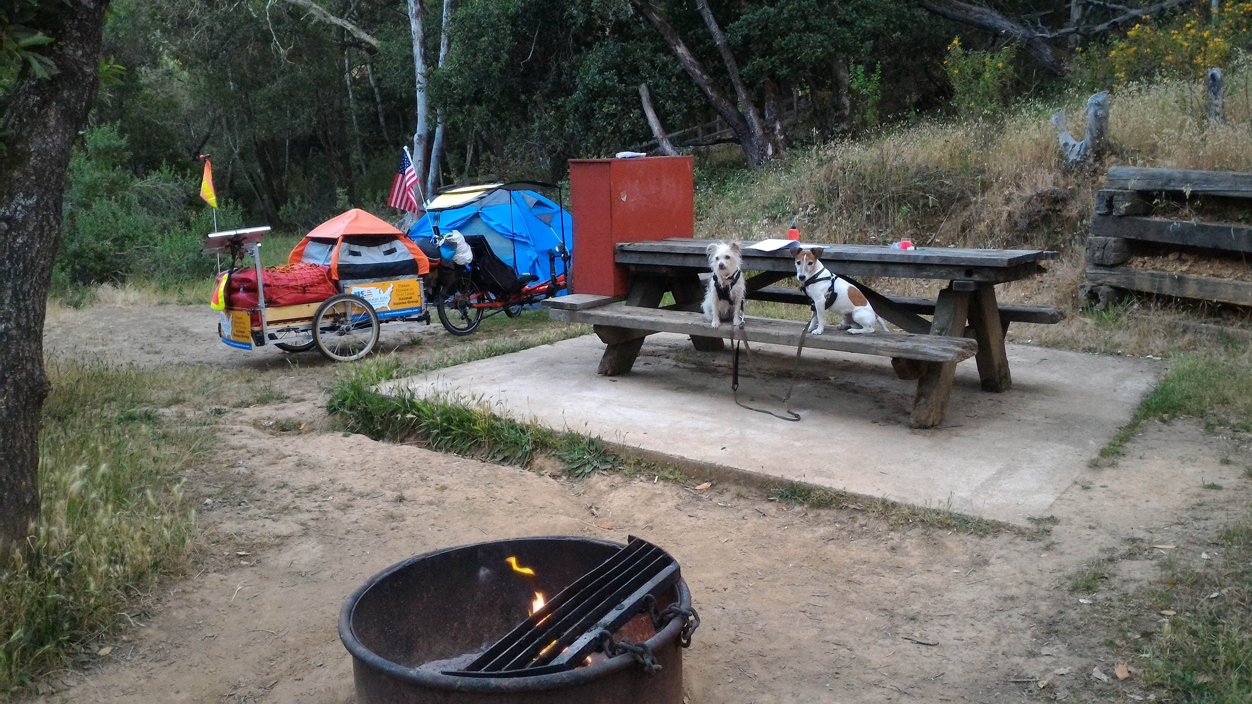 Escape to the Bay: Your Guide to China Camp State Park