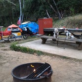 Review photo of China Camp State Park Campground by Tim J., September 10, 2018