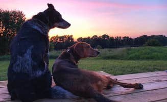 The Dyrt's photo of camping with pets at Tentrr Signature Site - Belle Vue Pond and River Haven near Saratoga Springs, NY