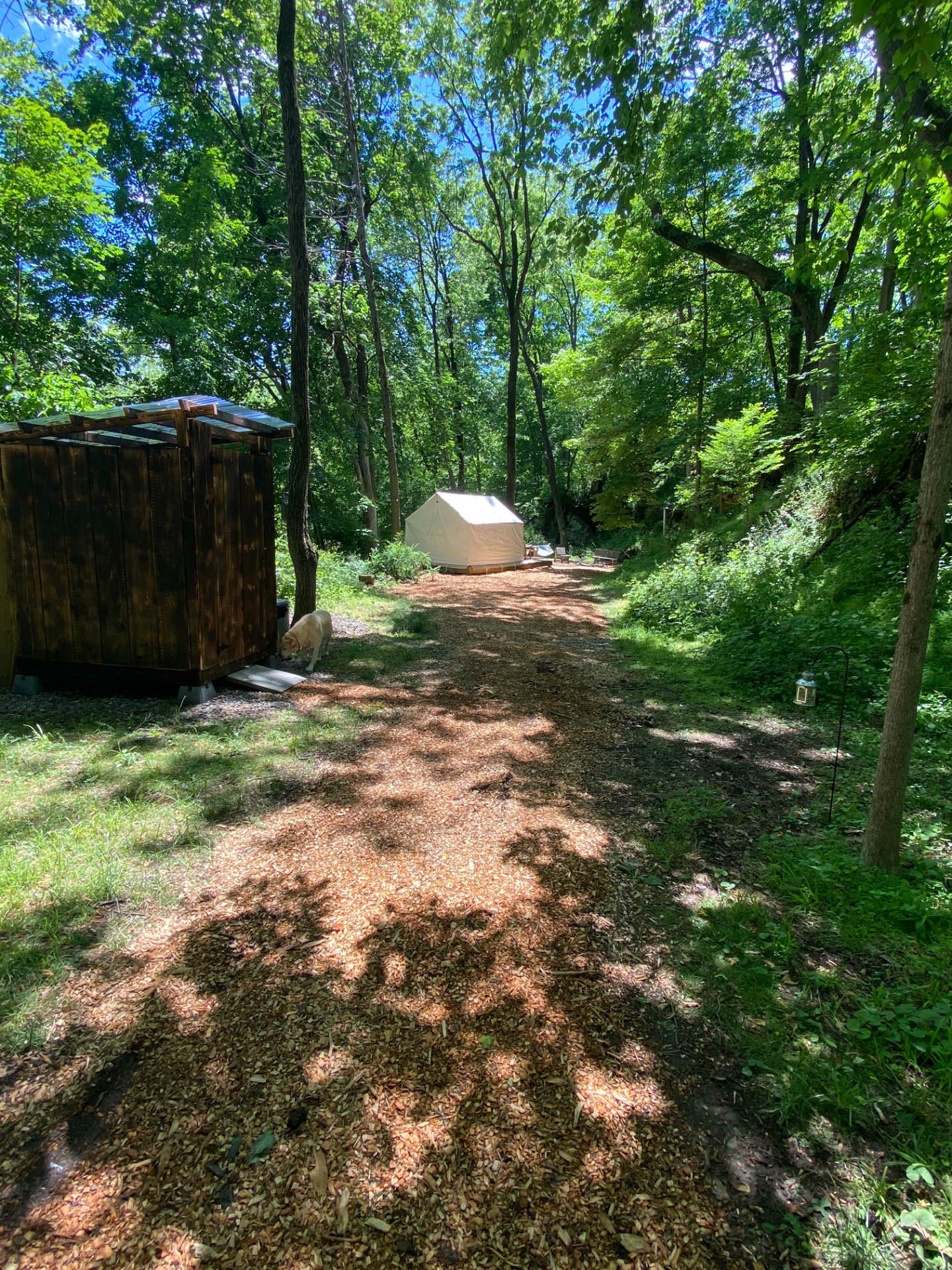 The Dyrt's photo at Tentrr Signature Site - Sycamore Hill Farm Creekside near Red Hill, PA