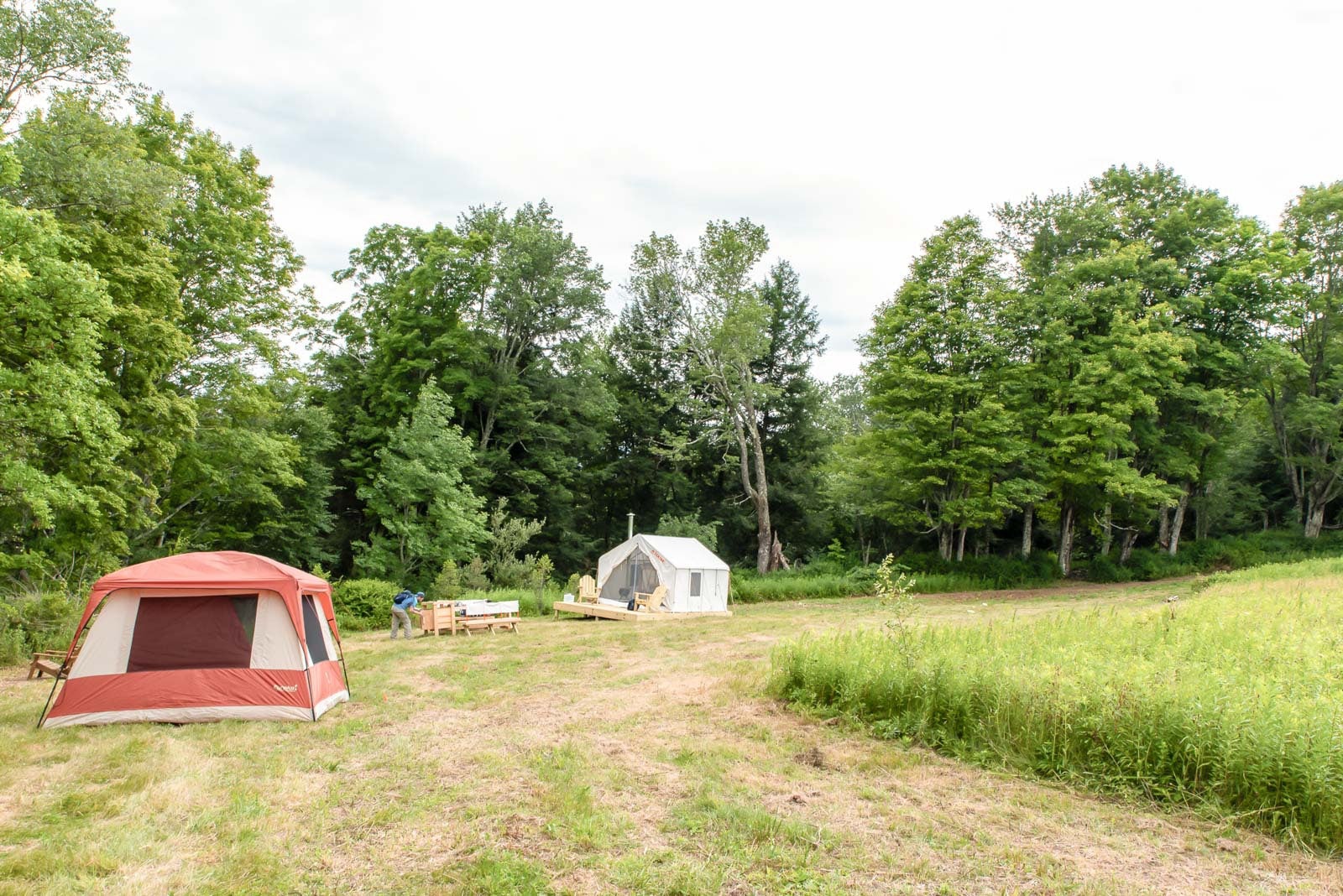 Camper submitted image from Tentrr Signature Site - Fields of Dreams at Callicoon - 1