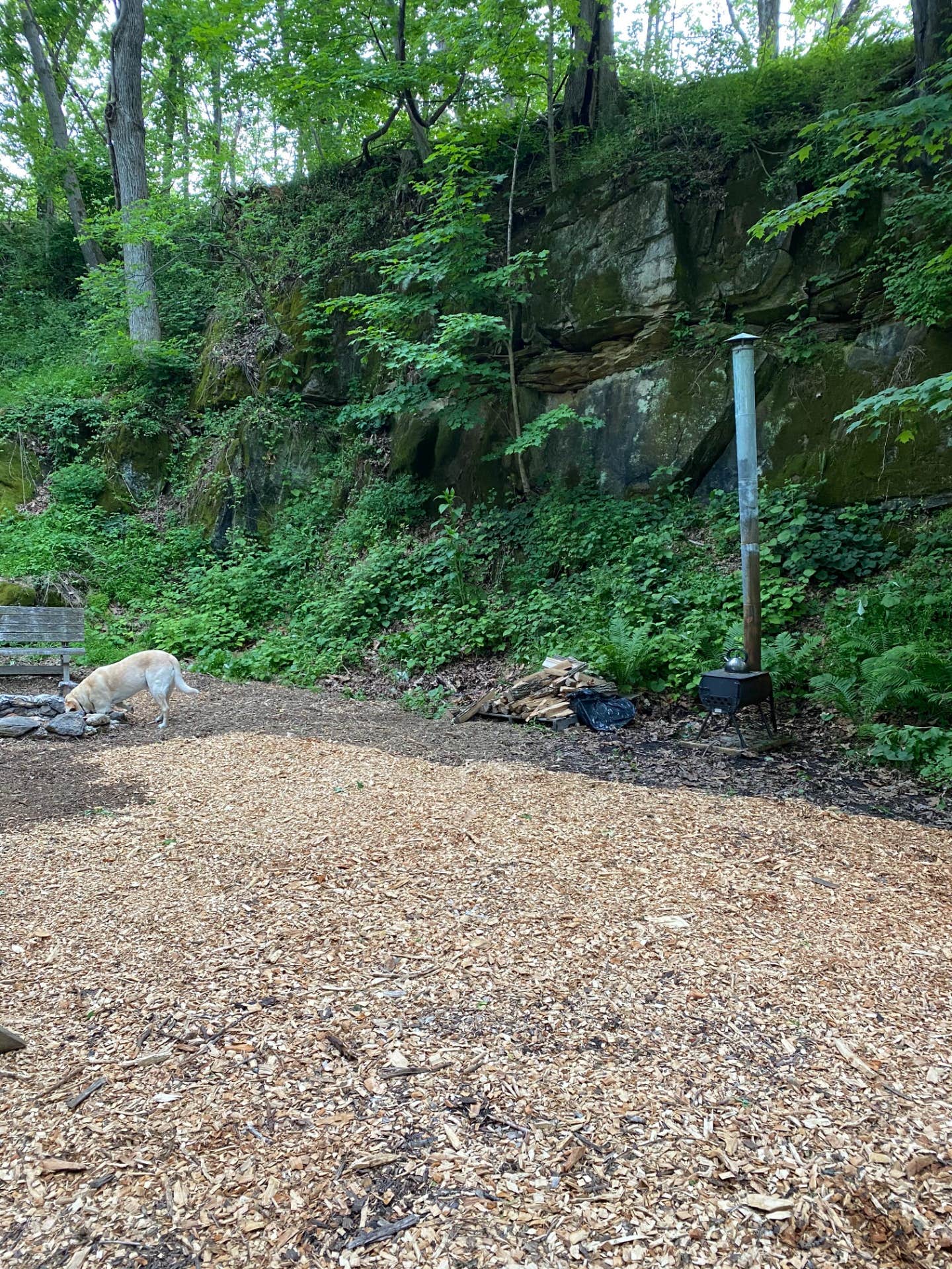 The Dyrt's photo of camping with pets at Tentrr Signature Site - Sycamore Hill Farm Creekside near New Hope, PA