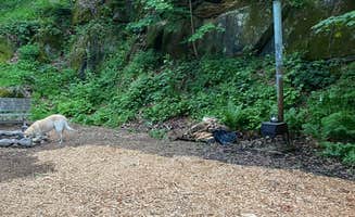 The Dyrt's photo of camping with pets at Tentrr Signature Site - Sycamore Hill Farm Creekside near Maple Glen, PA