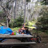 Review photo of Woodside Campground — Salt Point State Park by Tim J., September 10, 2018