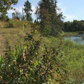 Review photo of Fox Trap Canoe Campsite by Janet R., September 10, 2018