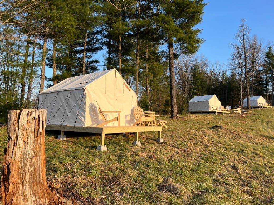 The Dyrt's photo at Tentrr Signature Site - Persimmon Green Hilltop - Site 1 near Marshall, NC