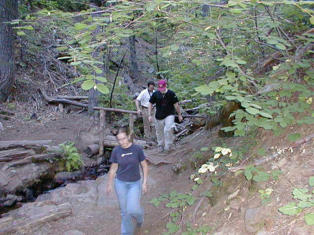 Camper submitted image from Nelder Grove Campground - 4