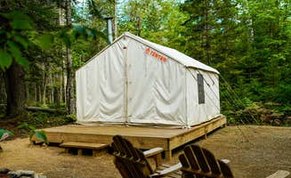 The Dyrt's photo at Tentrr State Park Site - Maine Mount Blue State Park - Wooded Site - Single Camp near Kingfield, ME