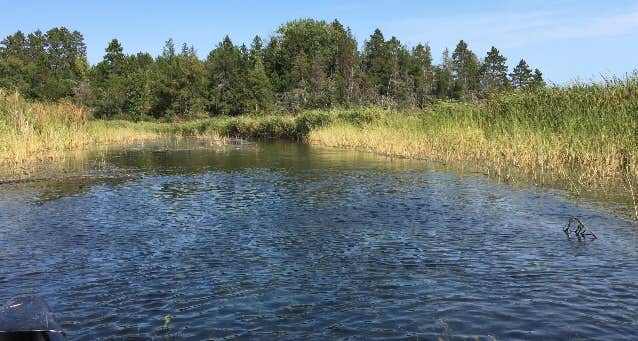 Camper-submitted photo at Fox Trap Canoe Campsite near Cass Lake, MN