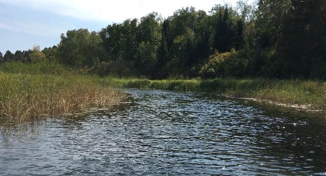 Camper-submitted photo at Fox Trap Canoe Campsite near Cass Lake, MN